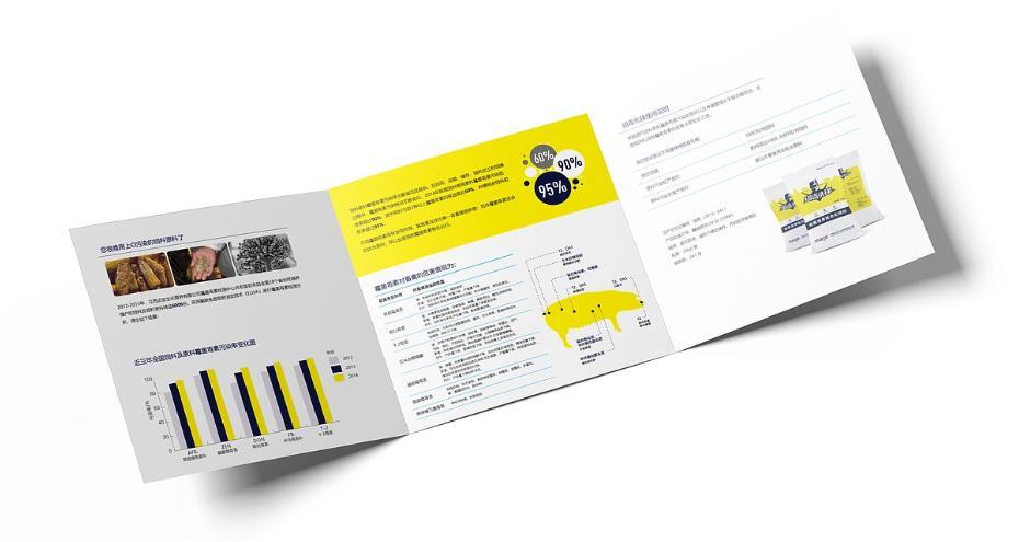 上海會(huì)展三折頁印刷 | 展會(huì)宣傳冊(cè) | 現(xiàn)場(chǎng)物料支持