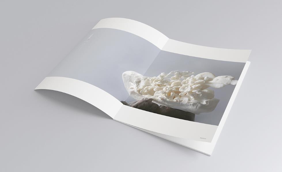 <strong>彩頁印刷</strong>常規(guī)尺寸有哪些？